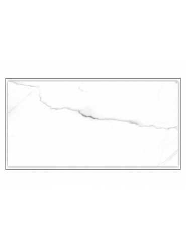 CARRARA WHITE 25X50 2.KLASA CARRARA WHITE 25X50 2.KLASA